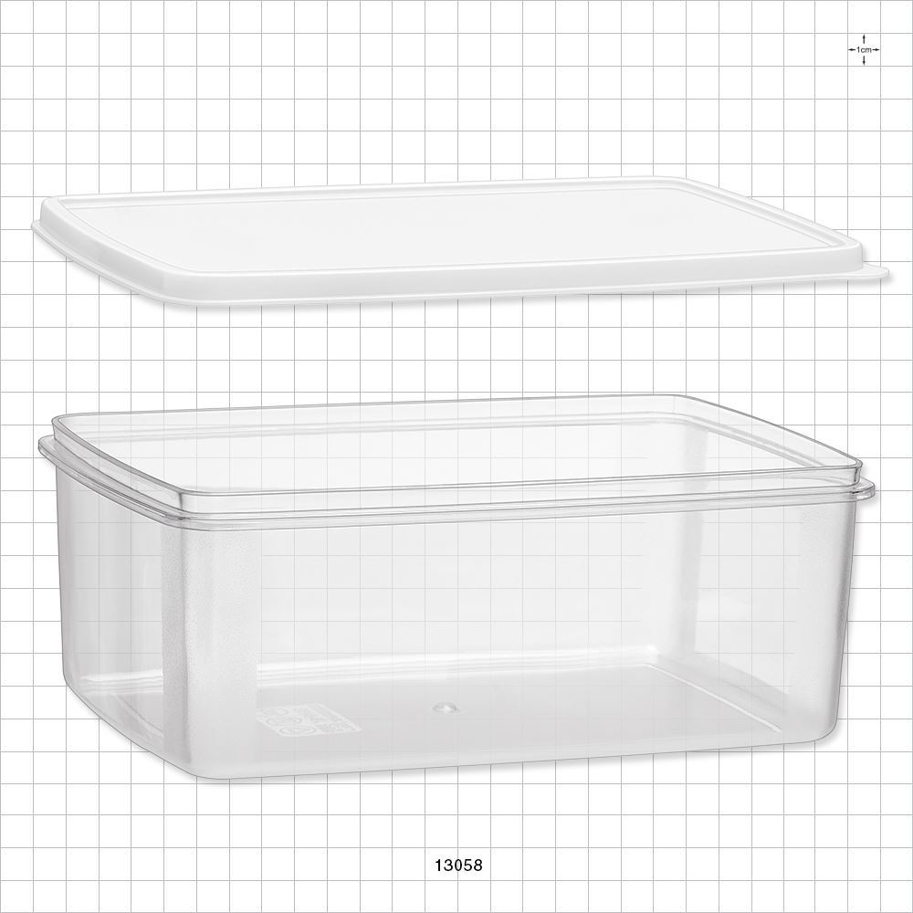 Rectangular Container, Clear with Lid, Frosted